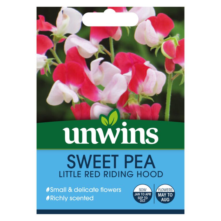 5051618028066 1 Sweet Pea Little Red Riding Hood Seeds.jpg